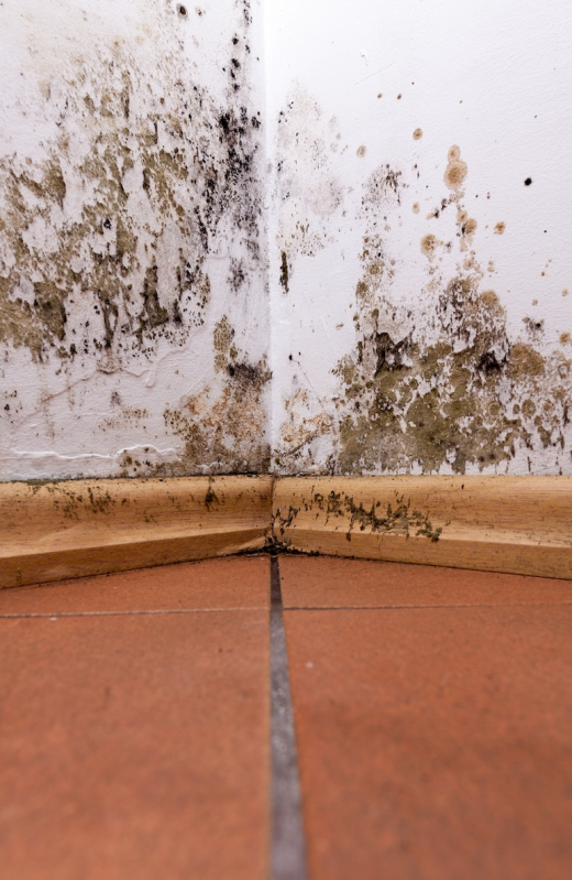 Mold and moisture buildup on corner wall of a house.